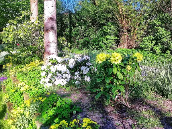Bild 24 von 24