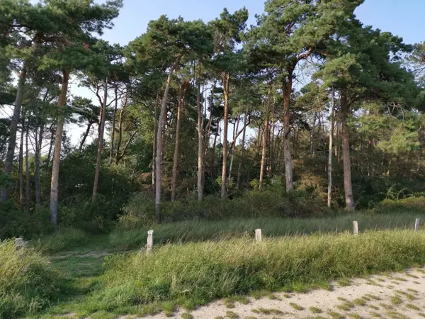 Bild 35 von 37