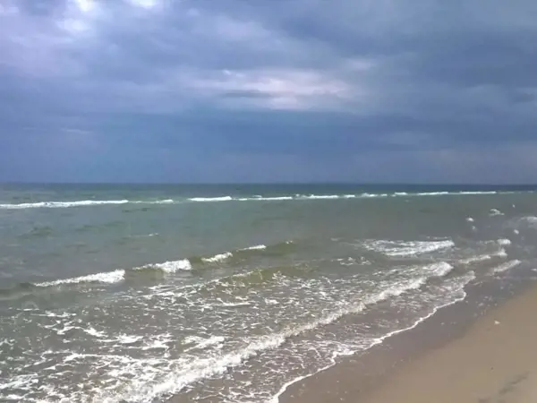 Bild 37 von 52