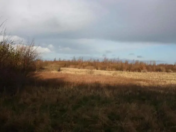 Bild 29 von 38