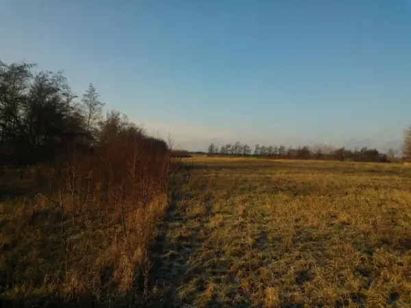 Bild 33 von 38