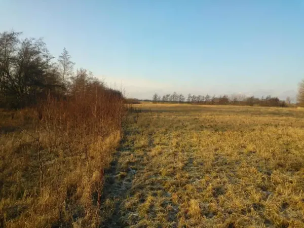 Bild 34 von 38