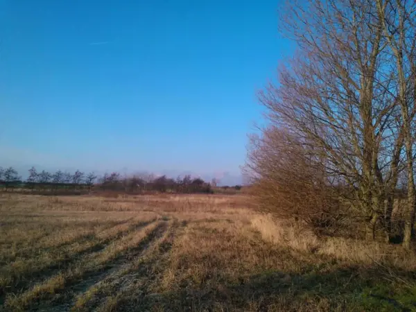 Bild 36 von 38