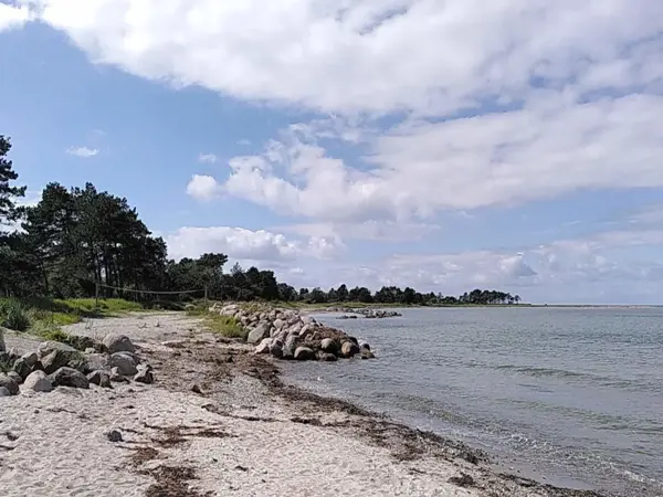 Bild 32 von 50