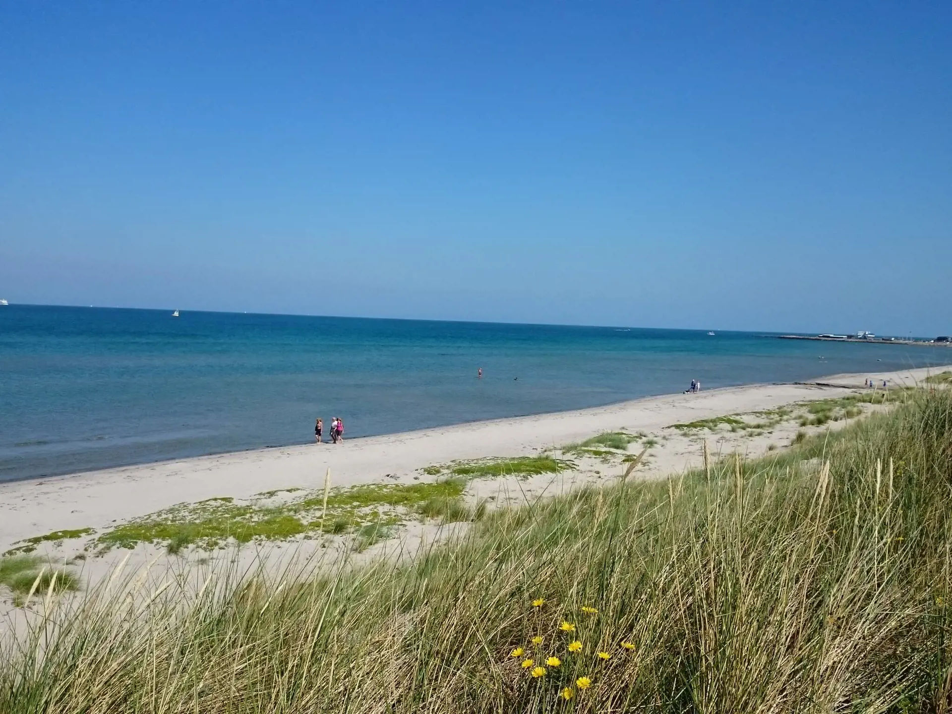 Bild 19 von 36