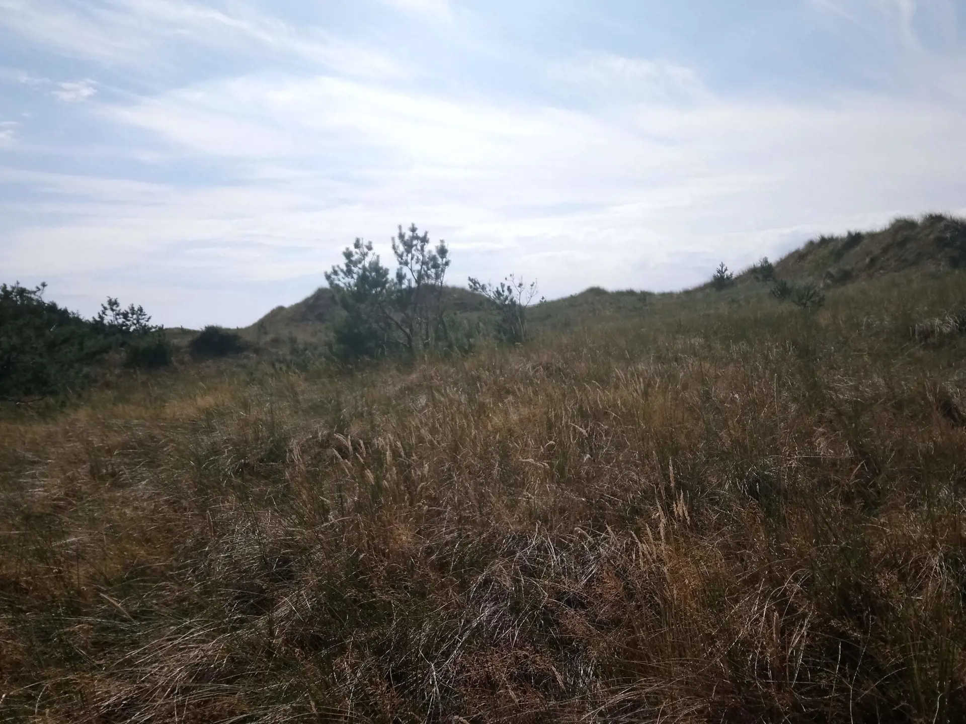 Bild 36 von 36