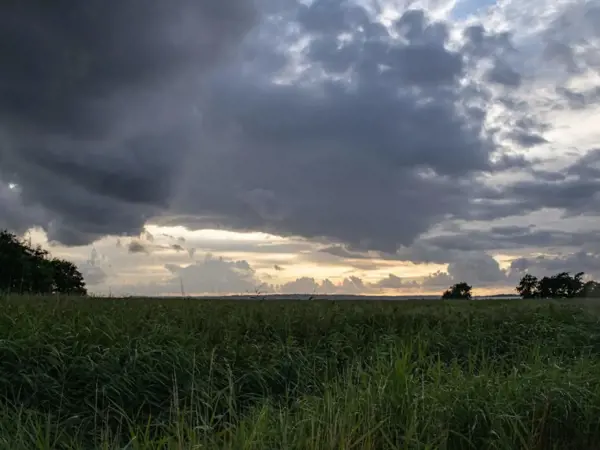 Bild 21 von 37