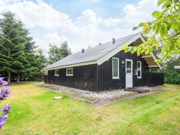 Ferienhaus 07671 in Stauning / Ringkøbing Fjord