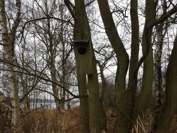 Bild 44 von 44