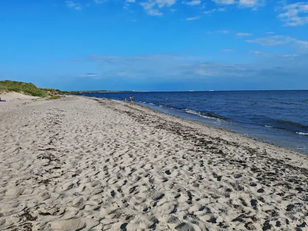 Bild 35 von 47