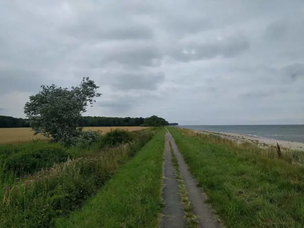 Bild 37 von 37