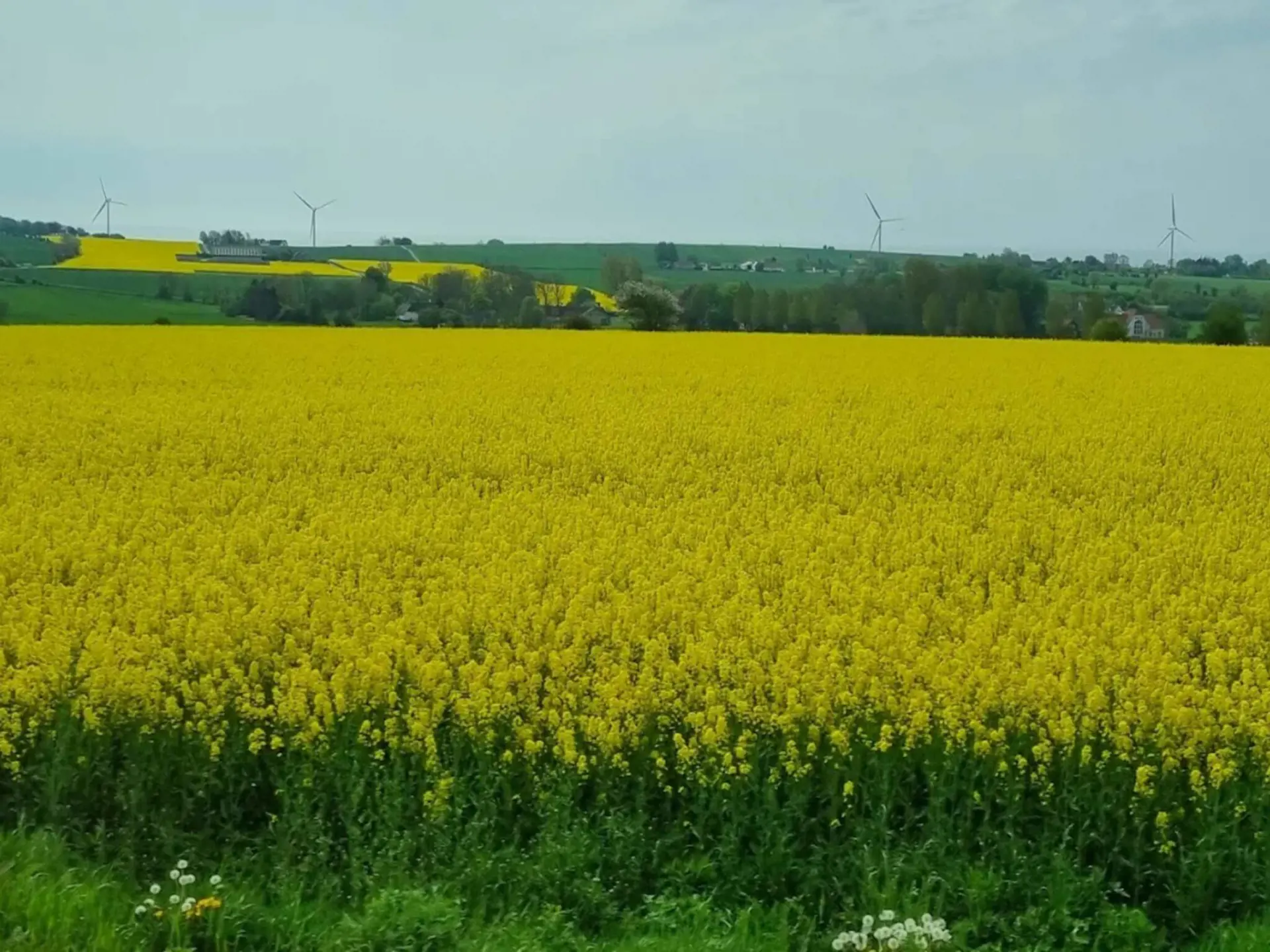 Bild 54 von 55