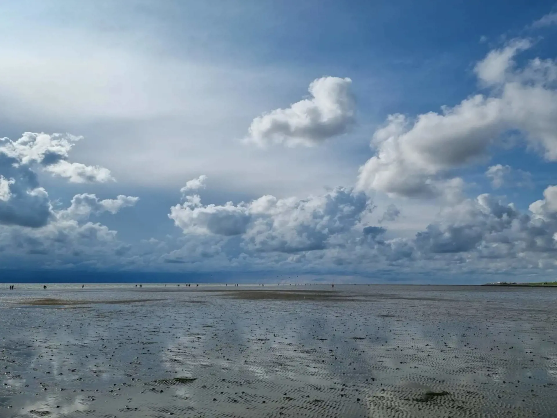 Bild 55 von 55
