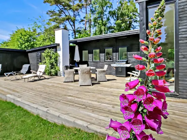 Ferienhaus 07883 in Tisvildeleje / Nordseeland