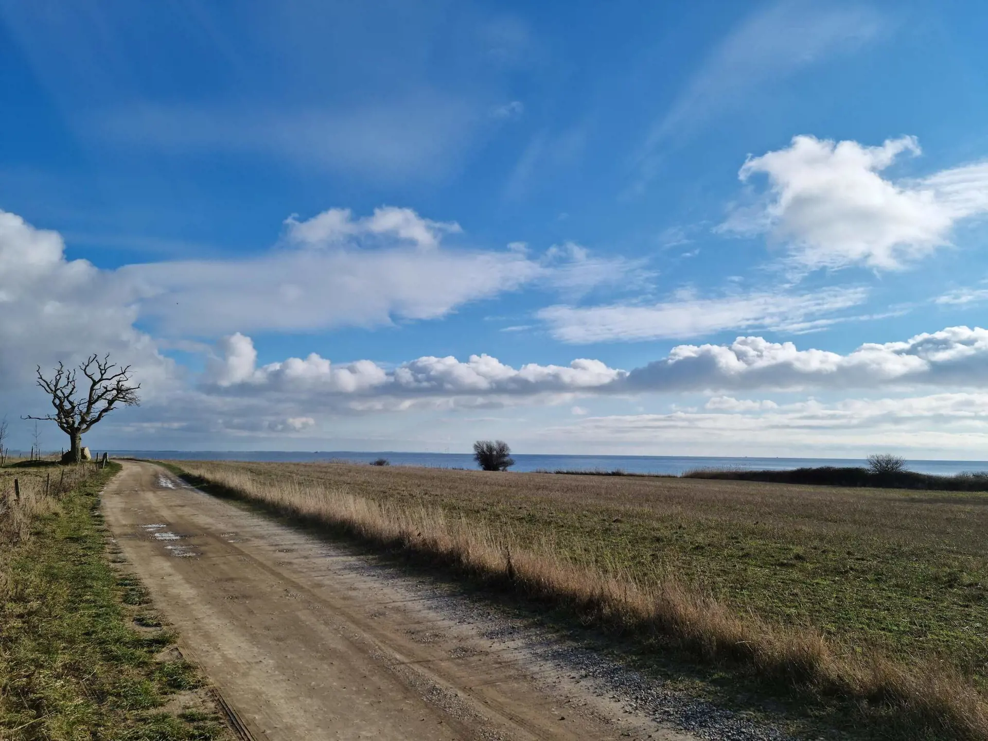 Bild 33 von 34