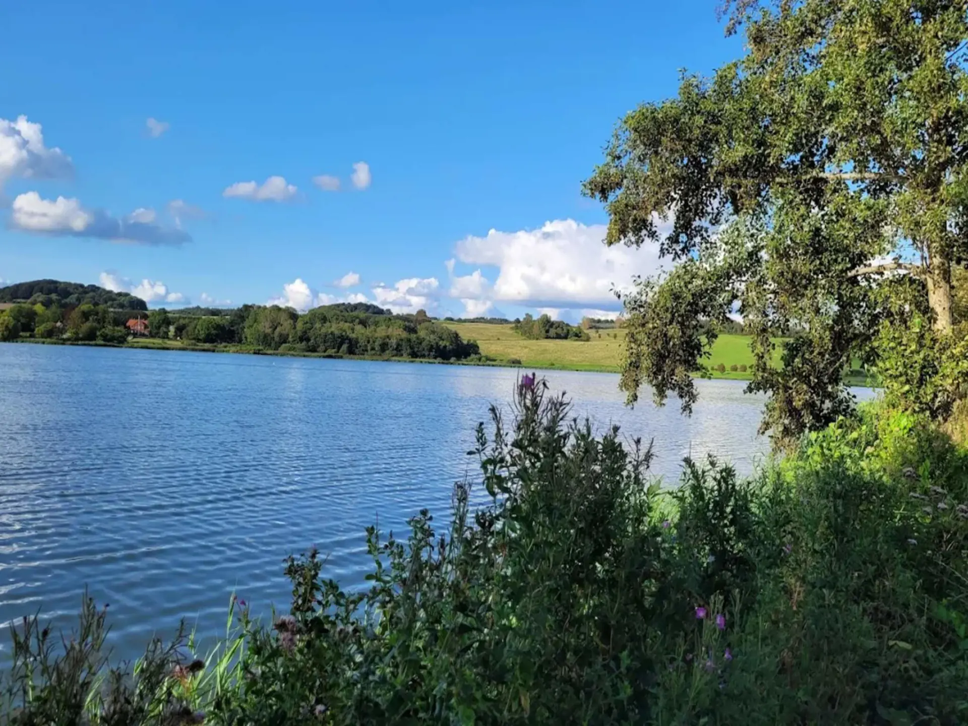 Bild 26 von 46