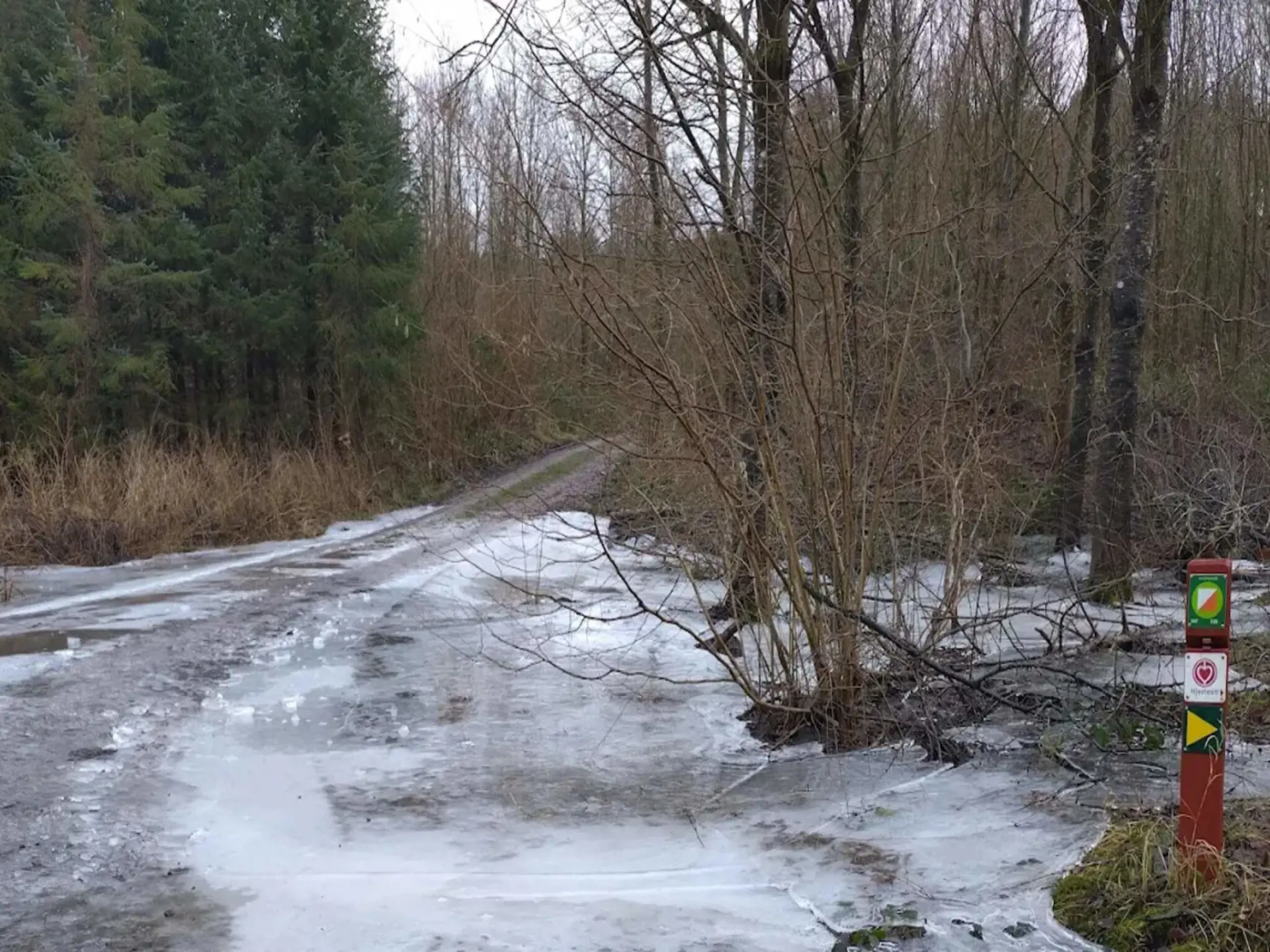 Bild 30 von 46