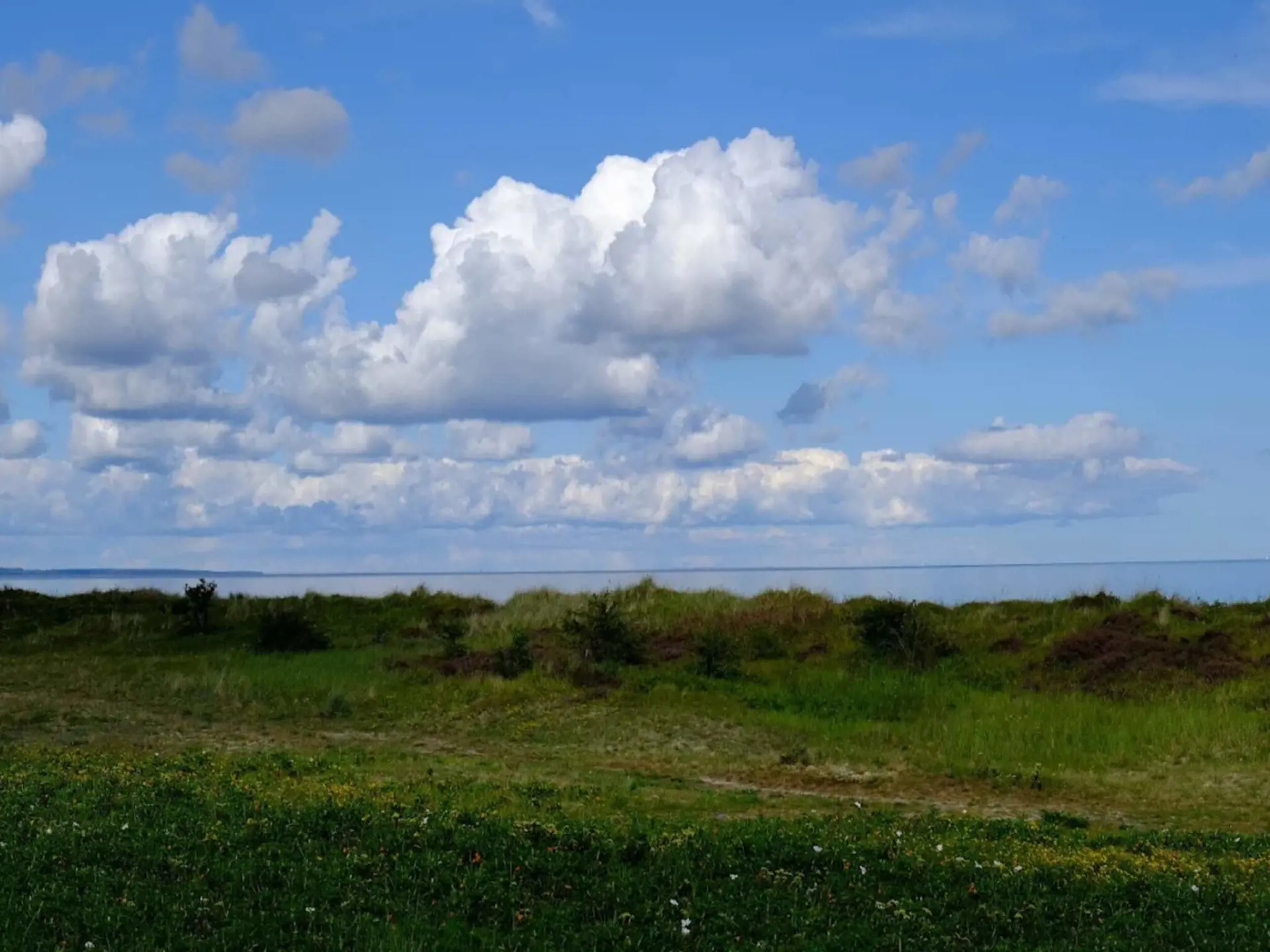 Bild 56 von 57