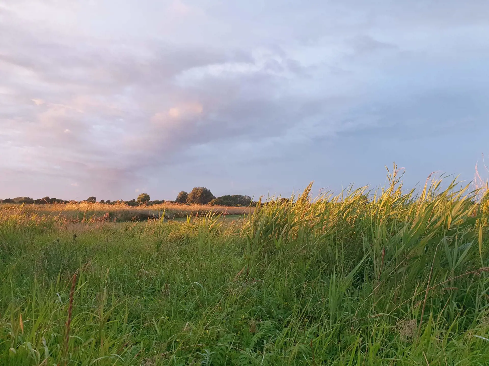 Bild 33 von 36