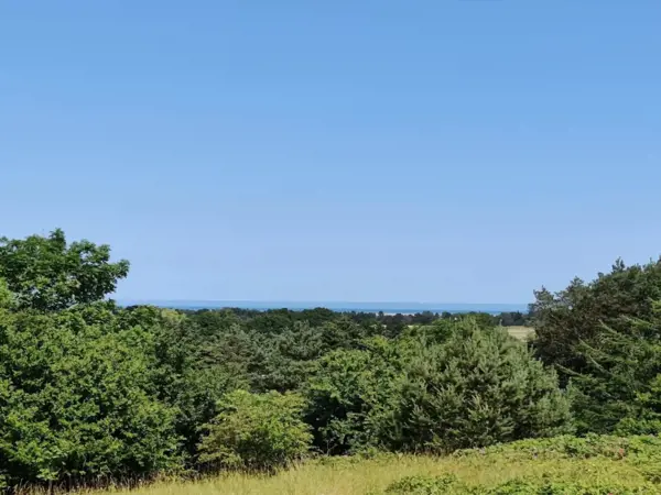 Bild 21 von 32