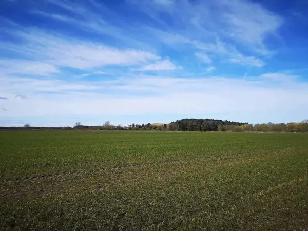 Bild 25 von 32