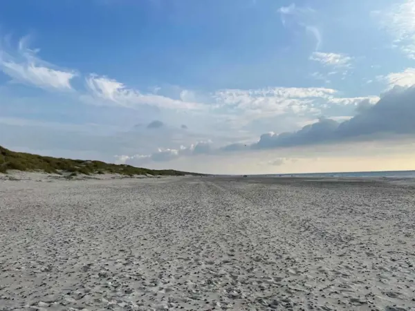 Bild 36 von 40