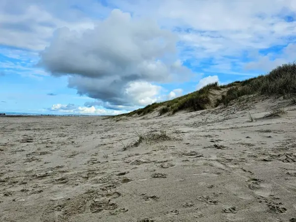 Bild 40 von 40