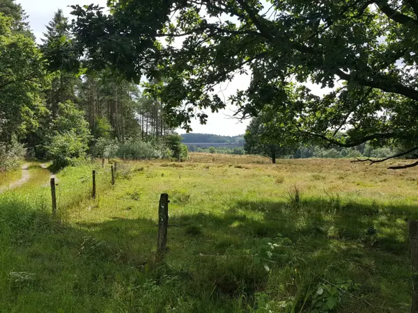 Bild 36 von 40