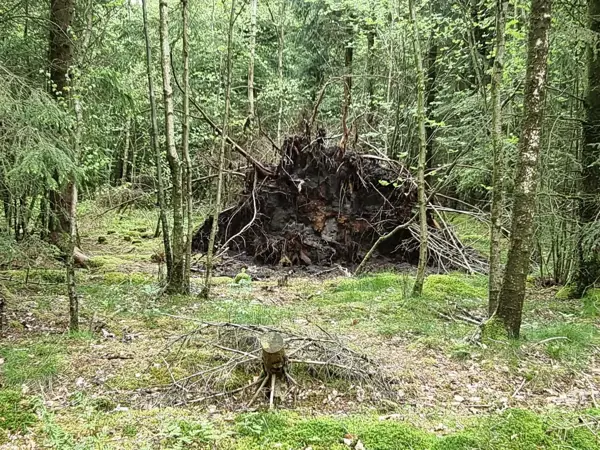 Bild 37 von 40
