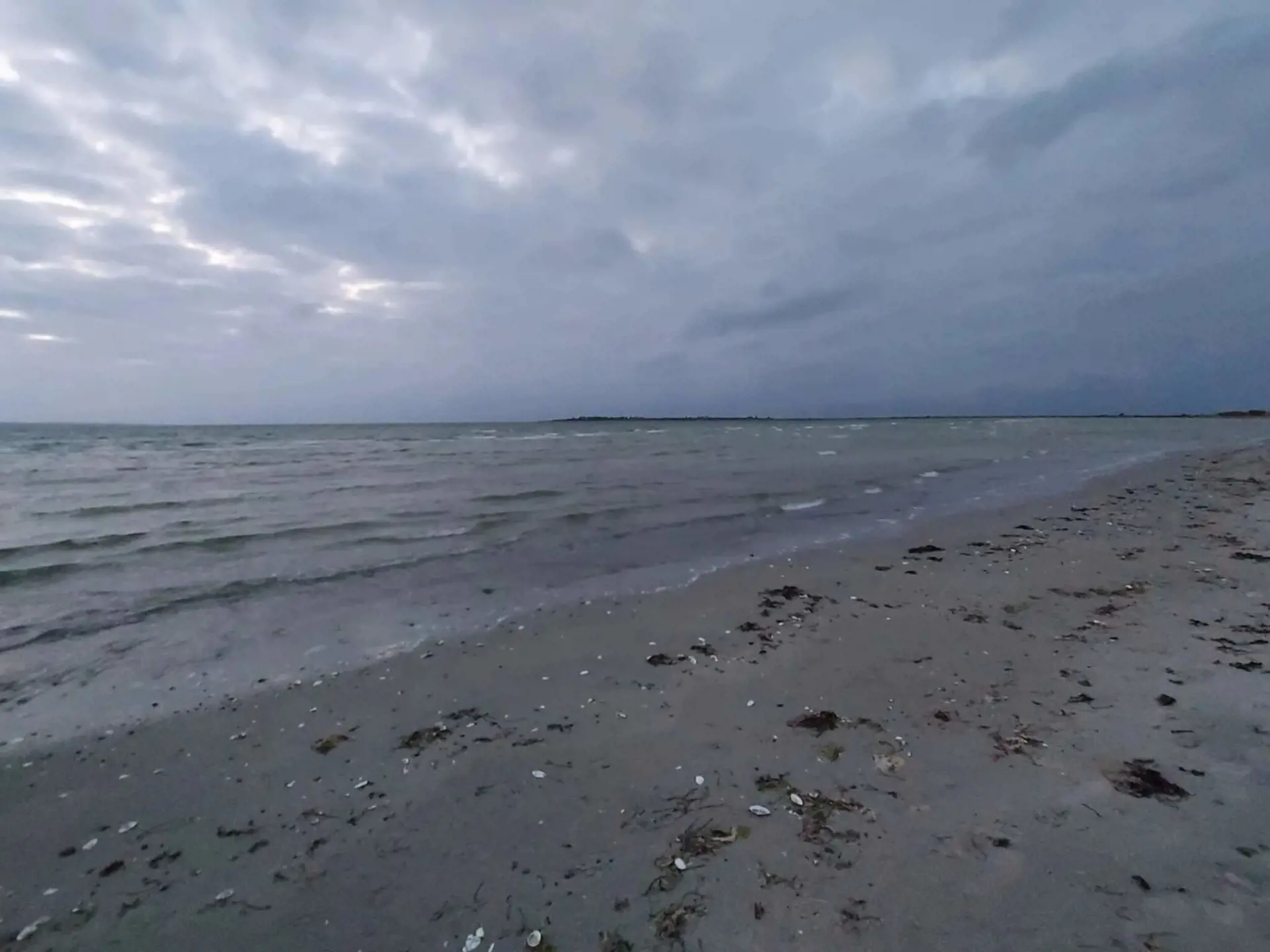 Bild 24 von 51