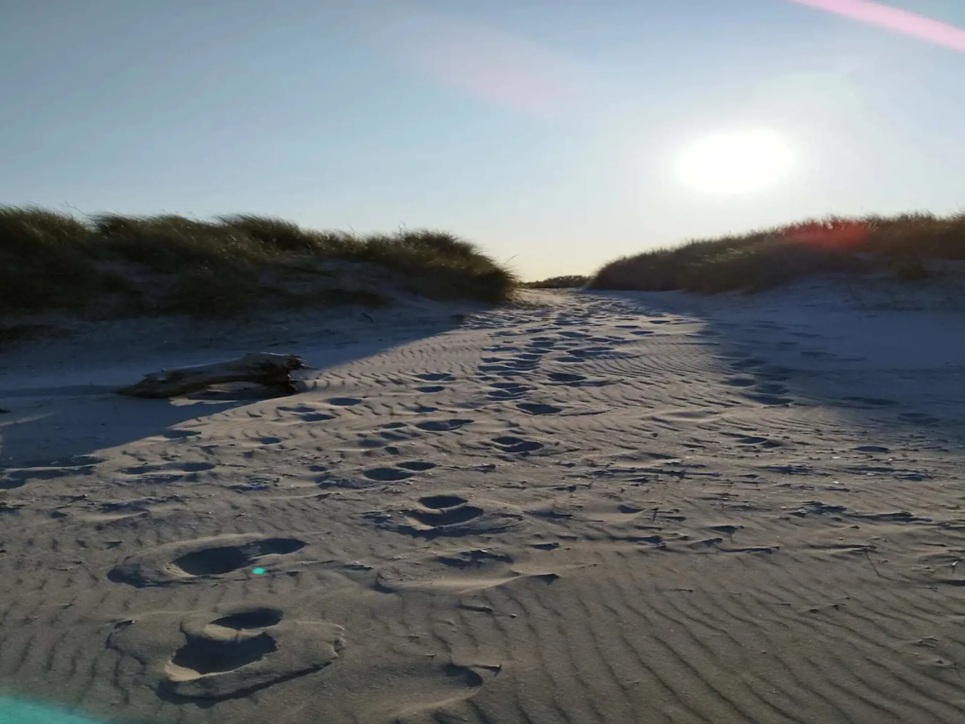 Bild 36 von 36