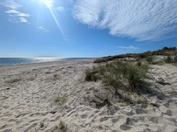 Bild 33 von 40