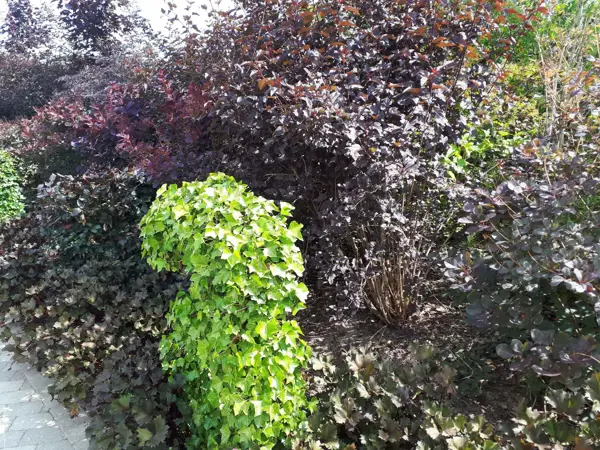Bild 33 von 40