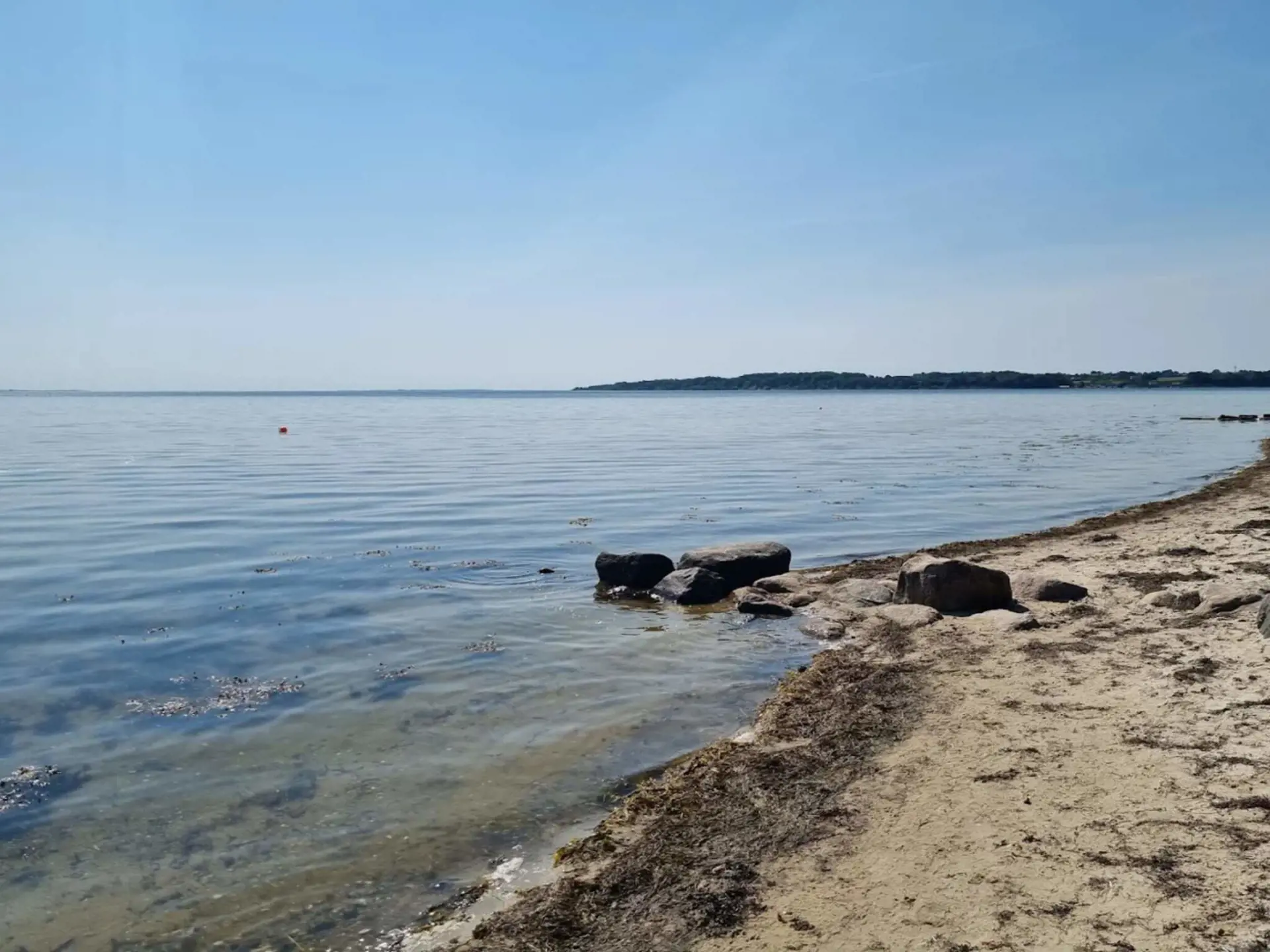 Bild 29 von 50