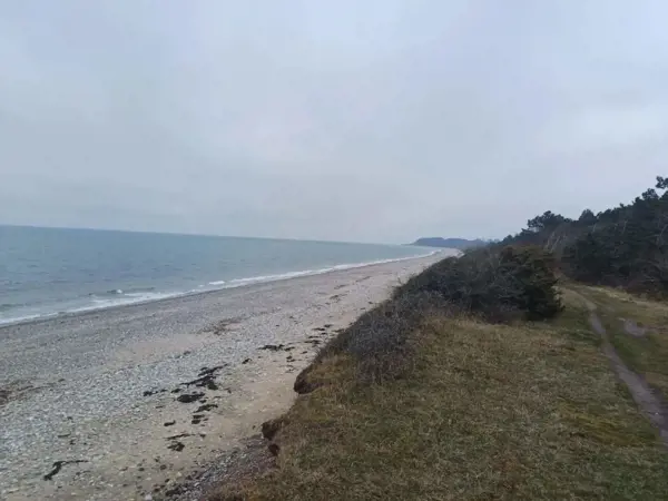 Bild 15 von 49