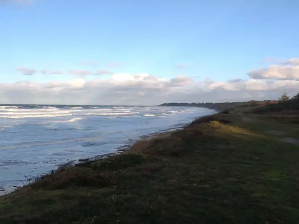 Bild 20 von 49
