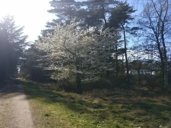Bild 48 von 49