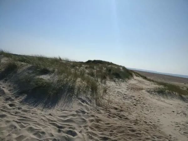 Bild 35 von 35