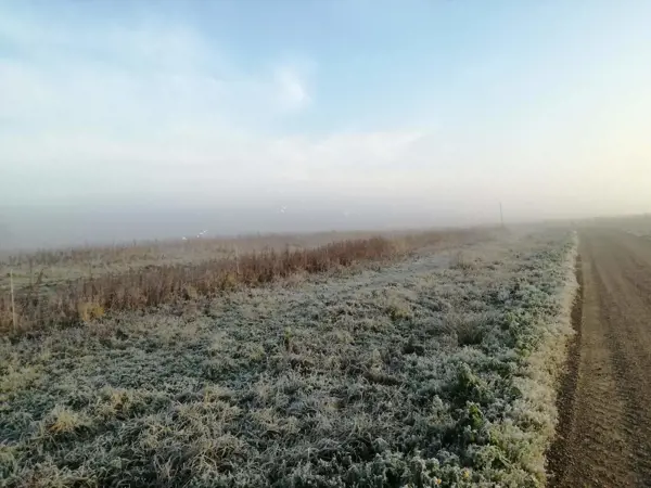 Bild 36 von 40
