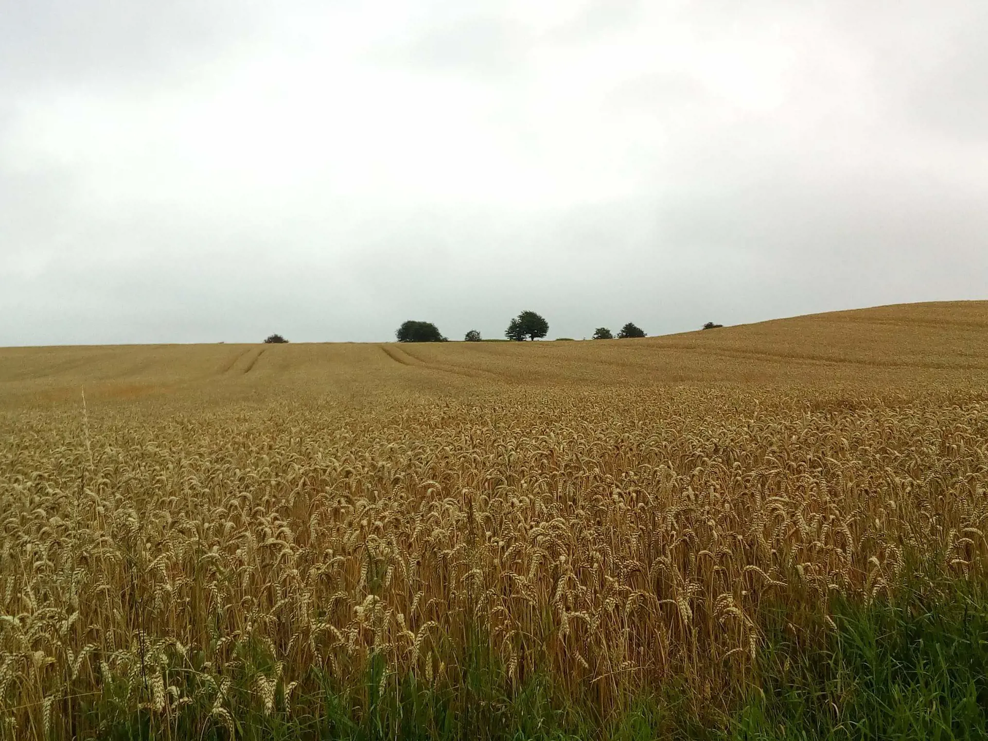 Bild 40 von 40