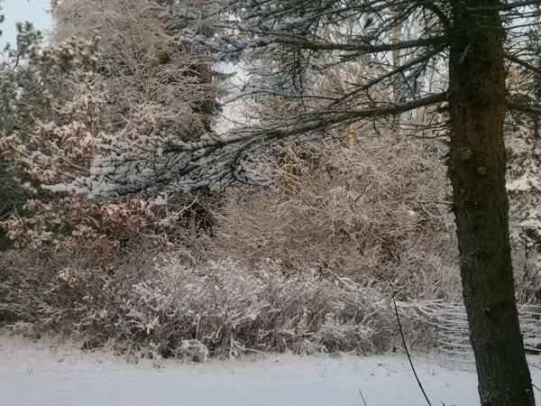 Bild 37 von 38