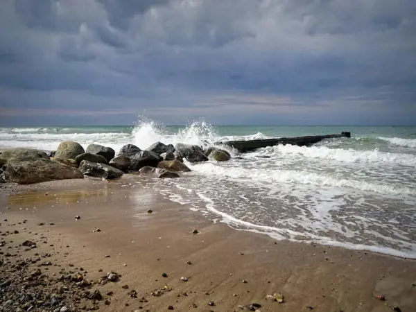 Bild 35 von 61