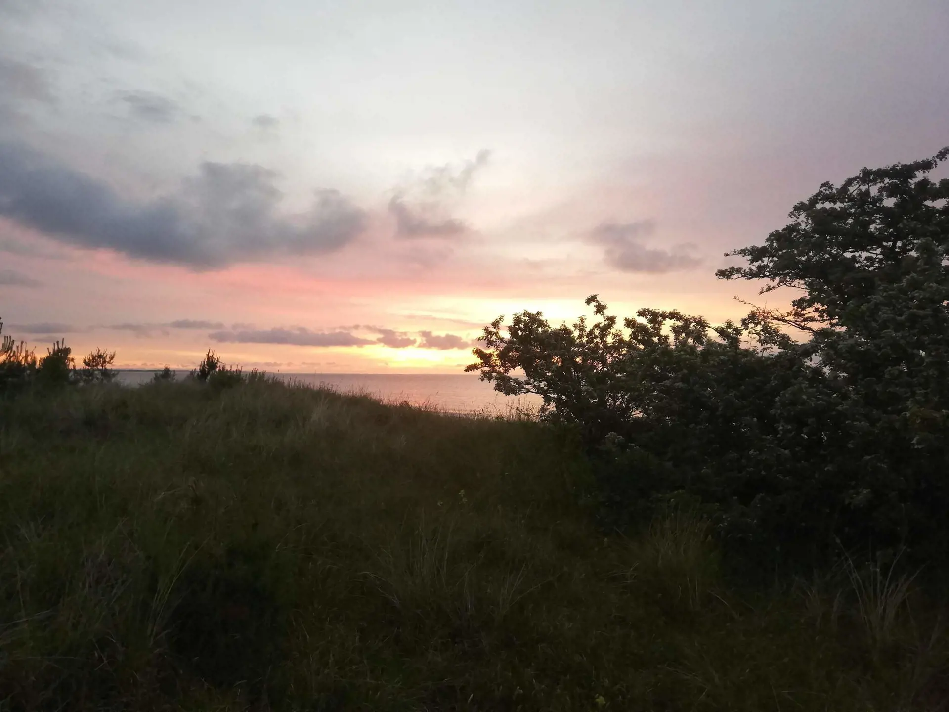 Bild 36 von 40