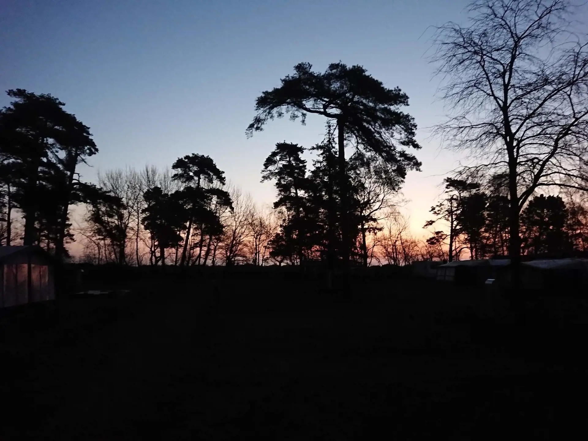 Bild 37 von 40