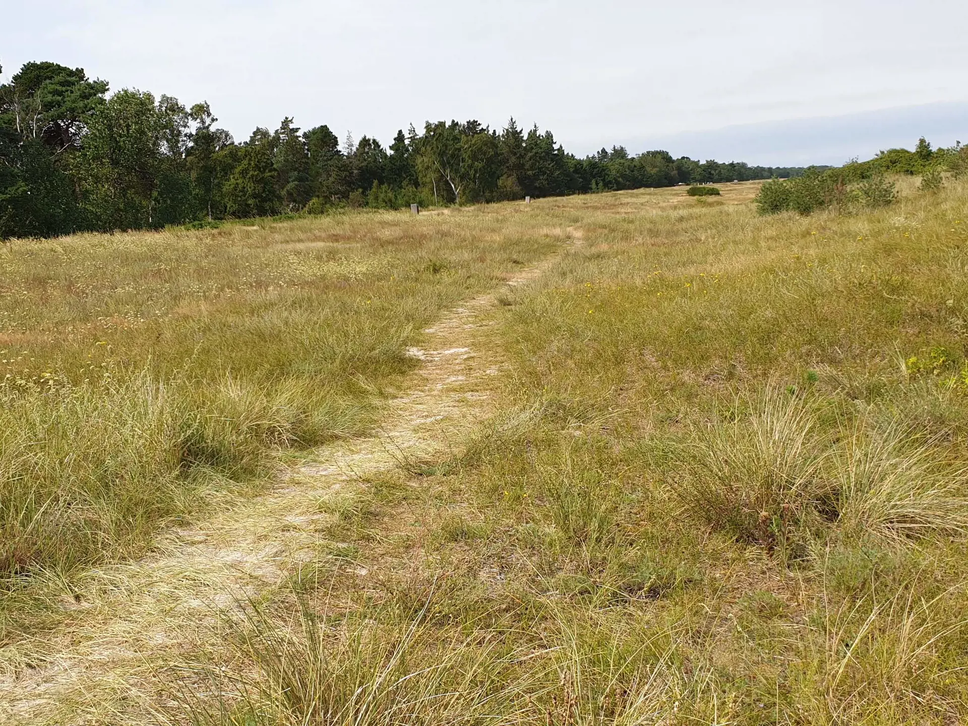 Bild 39 von 40