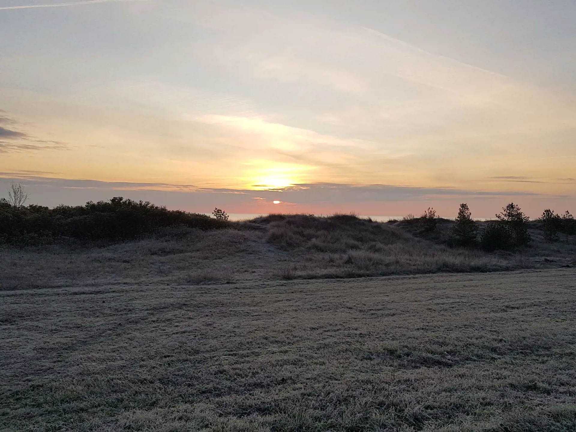 Bild 40 von 40
