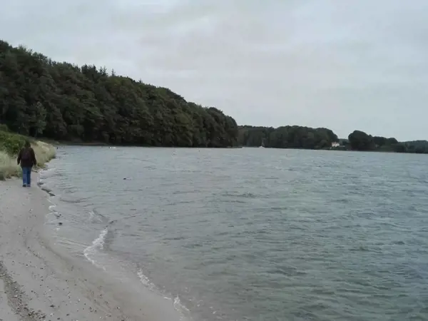 Bild 35 von 48