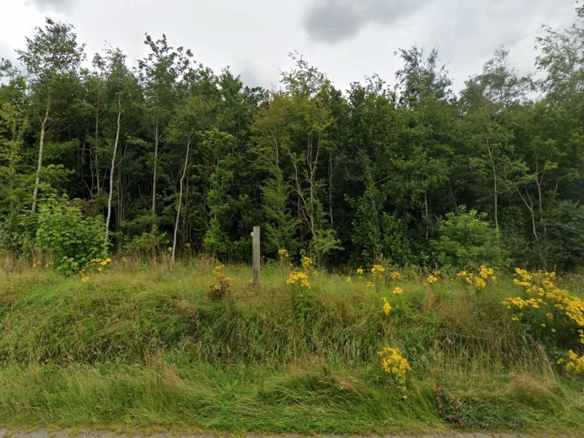Bild 38 von 41