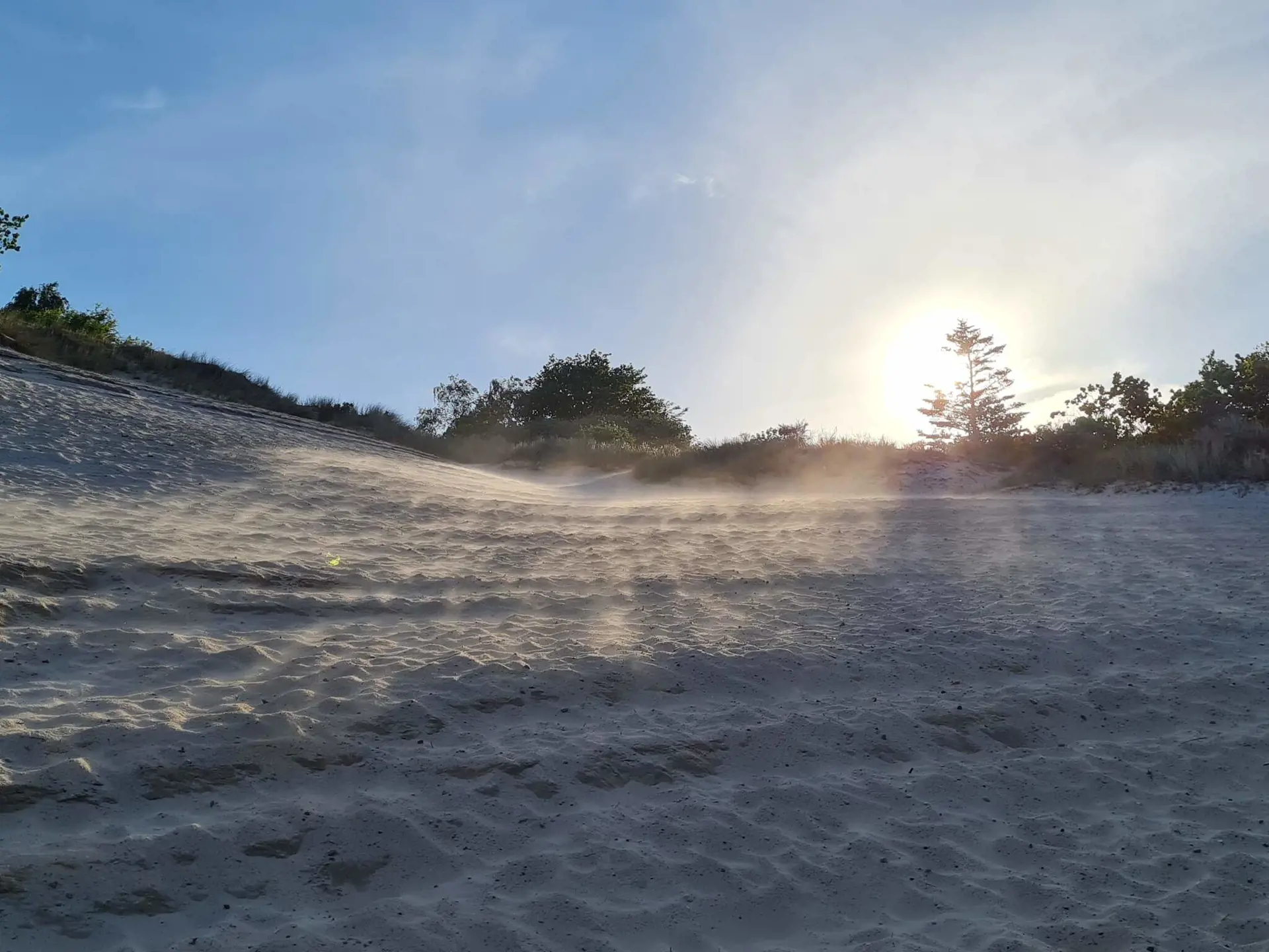 Bild 39 von 40