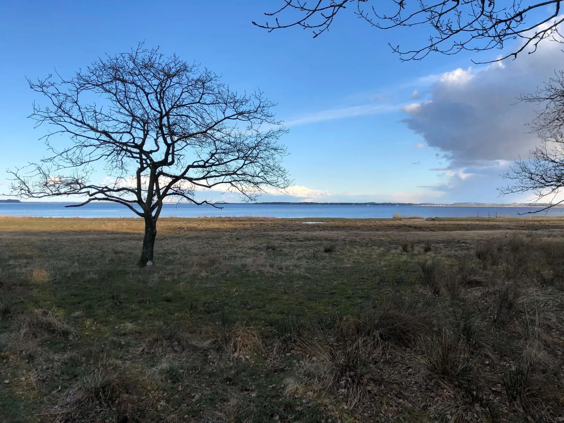 Bild 35 von 35